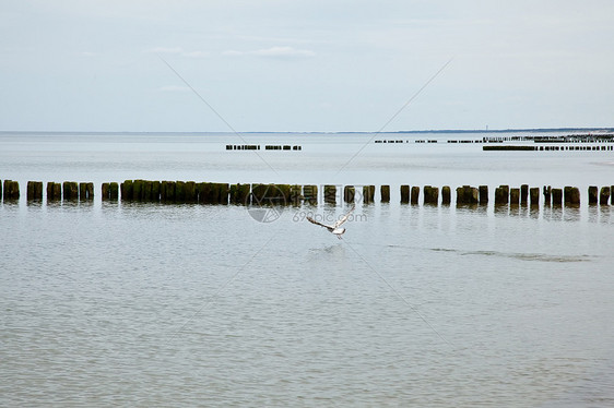 隔水海浪风暴障碍海岸天气地平线海岸线海滩海洋沿海图片