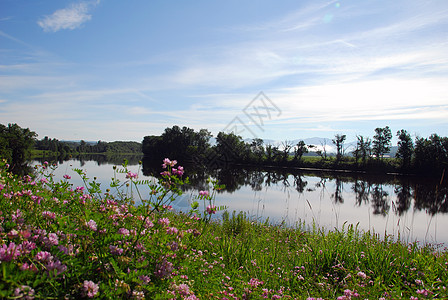 夏季风景森林溪流天空蓝色植物图片