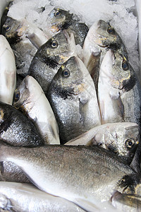冰上新鲜鱼渔业冷藏荒野菜单钓鱼餐厅烹饪海洋食物蔬菜图片