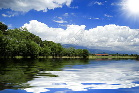 云中湖晴天雏菊耀斑国家蓝色森林波浪天气农村池塘图片