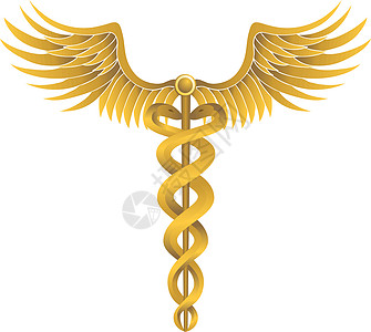 张嘴的蛇Cadukeus 医疗符号药品卫生保健插图职员翅膀徽章插画