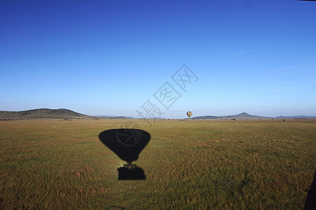 塞伦盖蒂上空的热气球图片
