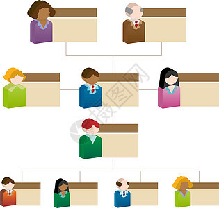 多样性组织结构图组织图工作制度雇员员工男性公司女性团队插图等级背景图片