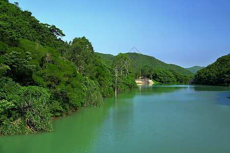 湖蓝色旅行阳光风景木头森林反射旅游天空地平线图片