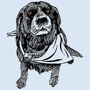 狗狗纵向写意宠物黑色犬类墨水草图实验室围巾头发猎犬图片