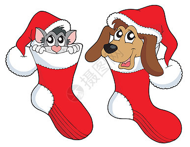圣诞袜子中的可爱猫和狗 插图图片