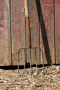 爬在旧红色谷仓的草叉上木头工具图片