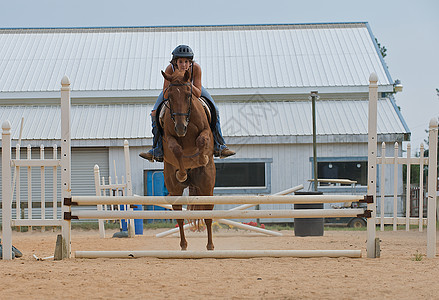 青春少女在铁轨上跳过一匹马驾驶姿势骑术农场马术慢跑牧场女孩运动跳跃图片