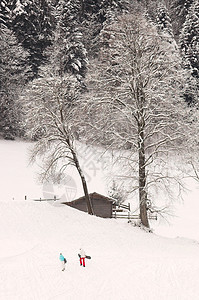 滑雪运动员踪迹娱乐课程体力风景上坡树干乐趣游戏山脉图片