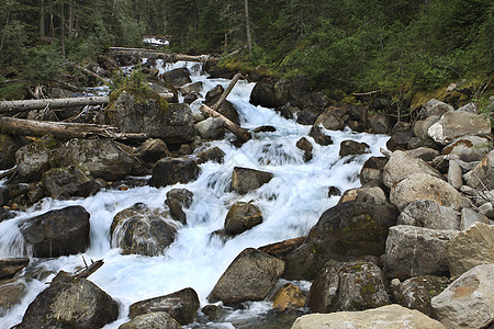 小瀑布风景森林岩石溪流绿色公元场景飞溅图片