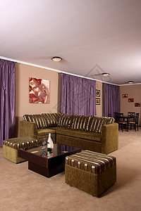内部的公寓电视房间地板风格摄影门帘建筑学奢华扶手椅图片
