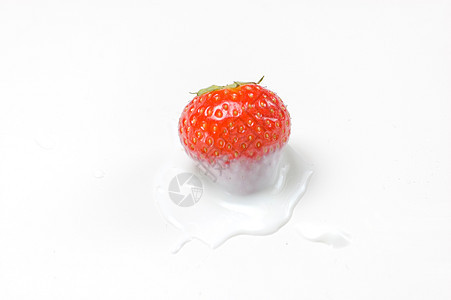 草莓红色食物美味营养工作室味道酸奶奶油水果白色图片