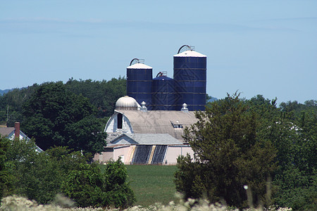 谷仓和硅奶牛场农田国家筒仓天空农家家养牛喂养蓝色农场图片