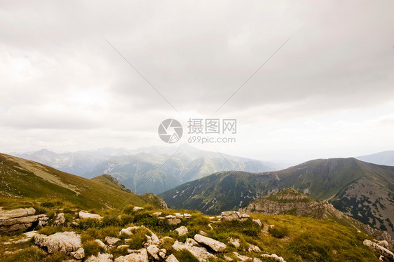 山山脉场地草地全景树木爬坡山脉森林风景顶峰环境图片