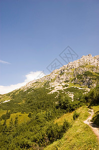 山山脉草地爬坡场地风景森林晴天顶峰环境树木山脉图片