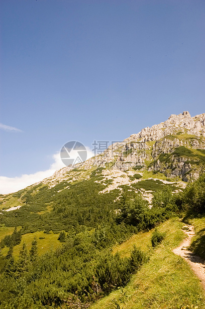 山山脉草地爬坡场地风景森林晴天顶峰环境树木山脉图片