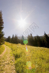 穆图奈路径顶峰风景季节阳光木头太阳晴天树木公园天空图片