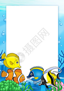 热带鱼类框架 1图片
