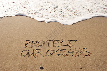 保护我们的海洋背景图片