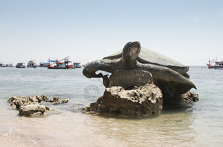 海龟岛潜水海滩呼吸管热带浮潜海湾编队水晶海岸岩石图片