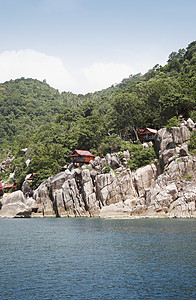 高涛道海岸线01号图片