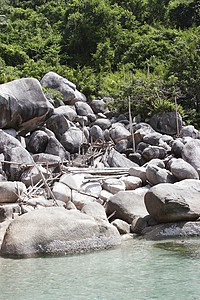 高涛海岸线03图片