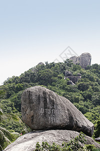 南川岛10号图片