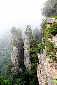 中国国家森林公园     张贾吉世界森林多云公吨国家公园风景柱子岩石悬崖图片
