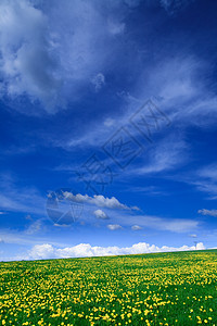 春色  绿地 蓝天空季节农村花朵公园土地爬坡远景场地蓝色全景图片