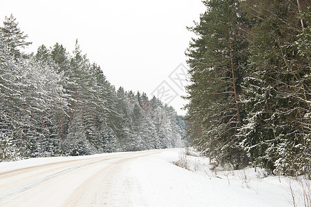 积雪中的国家公路车道车削旅行季节树木松树天气驾驶沥青天空图片