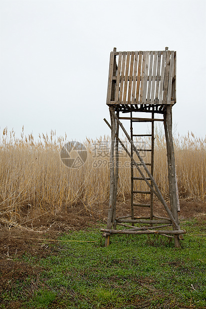 外 员额活动场地沼泽地沼泽猎人岗楼邮政荒野芦苇天气图片