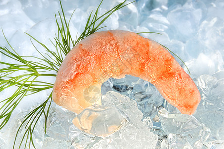 冲刷奢华甲壳动物贝类情调烹饪营养异国海鲜食物图片
