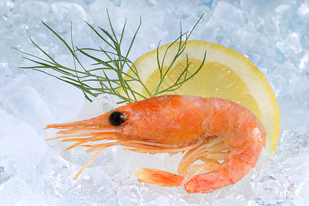 冲刷烹饪海鲜奢华对虾动物甲壳情调食物营养贝类图片