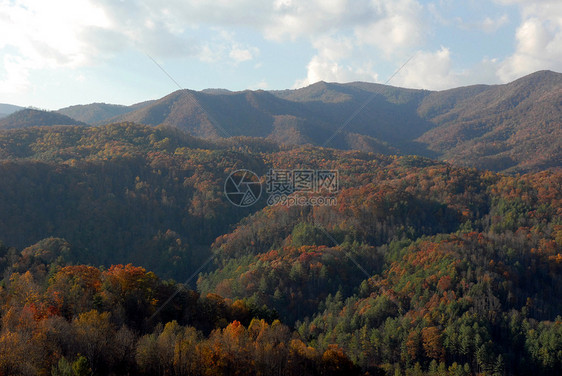 秋季北卡罗来纳州数控叶子树木森林树叶分支机构季节山脉图片