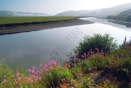 黄河湿地-在中国四川拍摄图片