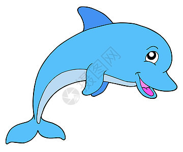 微笑海豚生活游泳跳绳幸福海洋生物野生动物蓝色海洋朋友插图图片