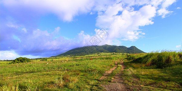 圣基茨的蒙塔利穆伊加农业天堂甘蔗天空苦难叶子生态场地森林栖息地图片