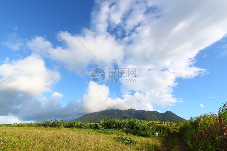 圣基茨的蒙塔利穆伊加甘蔗生态森林天堂农业植物群风景天空叶子苦难图片