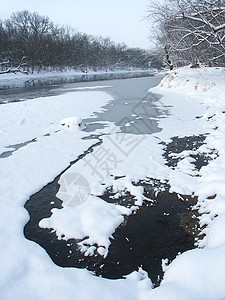 伊利诺伊州北部冬季冷冻弹簧荒野流动黑鹰寒意季节栖息地土地寒冷图片