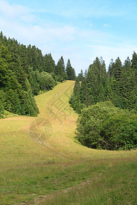 夏季风景天空房子阳光地平线牧场木头草地山脉土地叶子图片