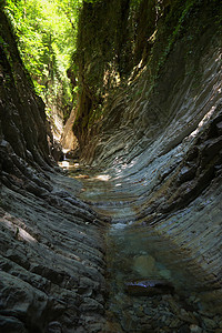 峡谷森林绿色岩石溪流叶子石头瀑布自然山脉风景图片