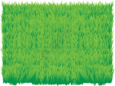 绿度(_grass)图片