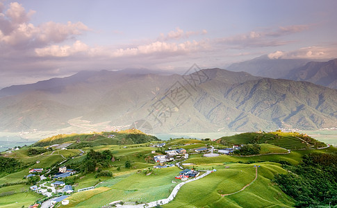 美丽的老虎百合养殖场土地场地场景草原叶子植物地平线植物群农业环境图片