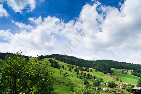 平面景观草地全景蓝色植物地平线远景天气爬坡场景场地图片