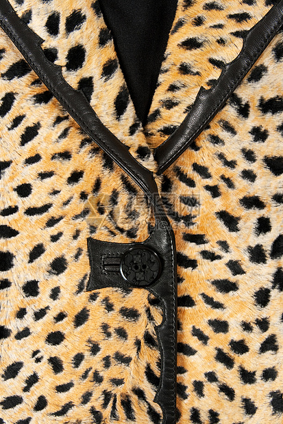 一件时髦的黑豹夹克图片