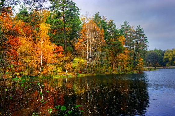 湖和明树及灌木的秋天风景旅行天空水域反射公园蓝色远景植物群橙子树木图片