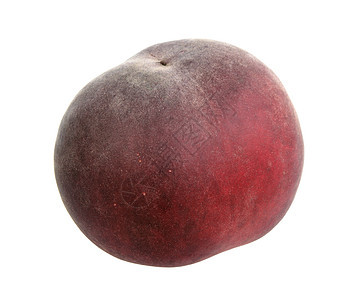 一只深红桃子食物农业宏观红色小吃水果摄影工作室图片