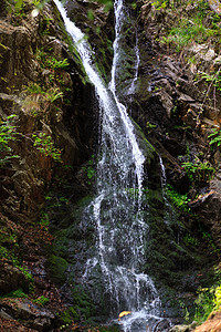 黑森林中的级联苔藓荒野岩石地形树木气候活力阳光瀑布森林图片