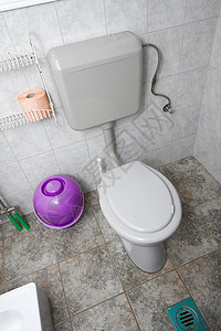 WWC 中洗手间座位紫色壁橱房子厕所卫生垃圾箱细菌家庭图片