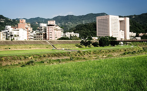 拥有草地公寓的城市景观奢华财富建筑学风景财产建筑草地房子家庭住宅图片